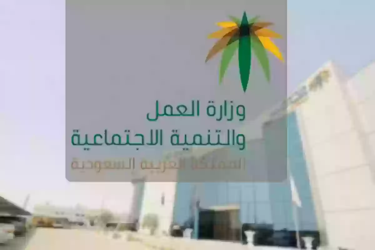 الاستعلام عن رخصة العمل mol.gov.sa