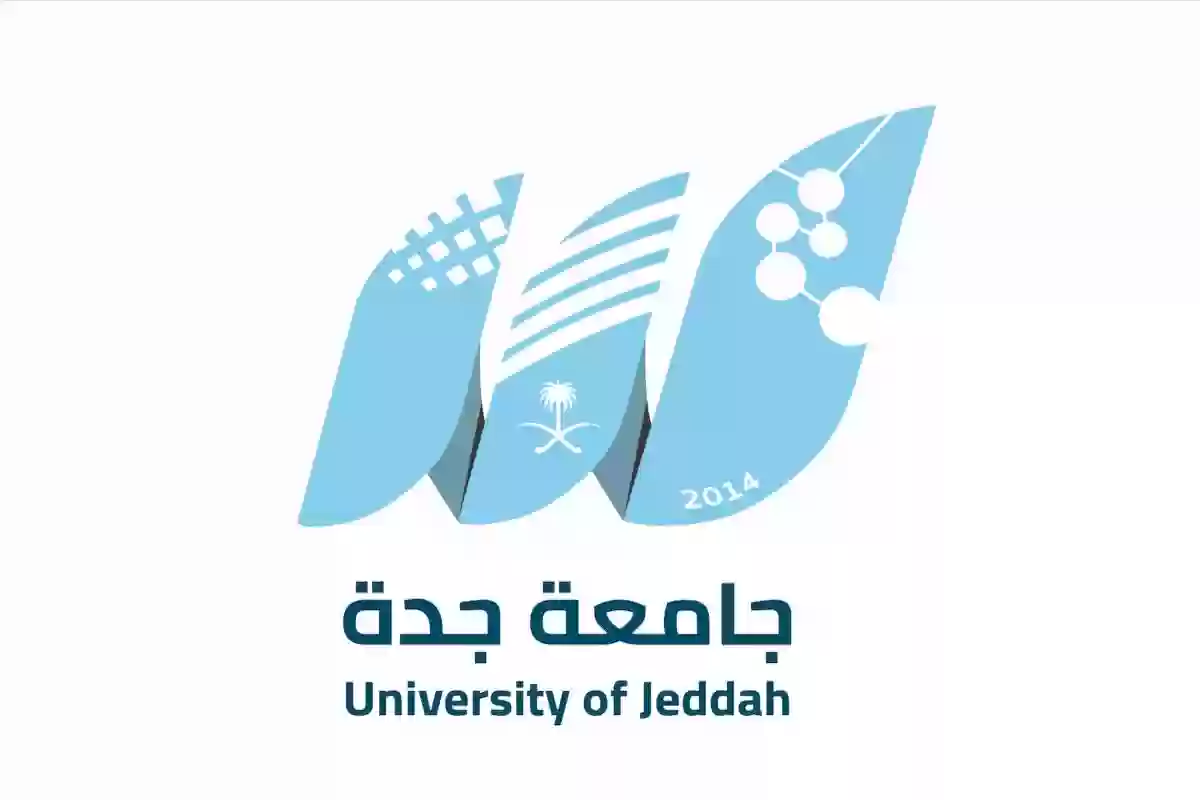 الرئيس التنفيذي لجامعة جدة.