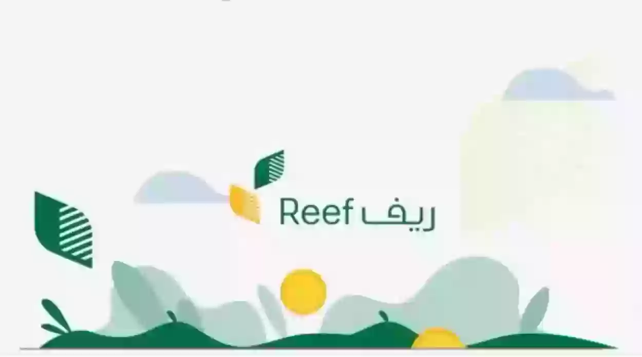 إليك حالات إيقاف صرف دعم ريف