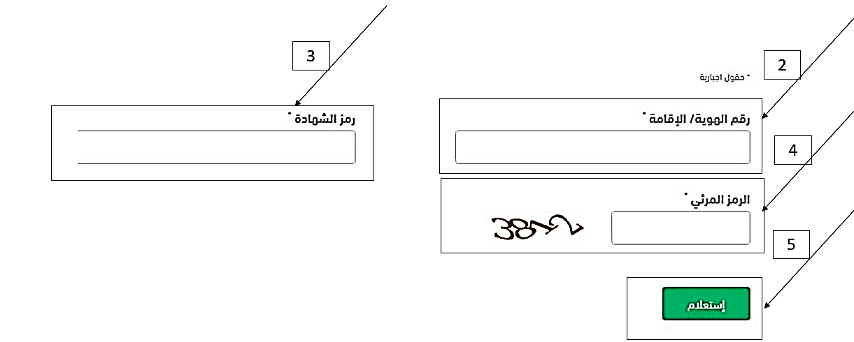 الاستعلام عن مستحقات مالية برقم الهوية التأمينات 